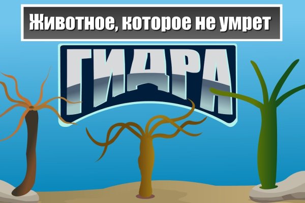 Сайты для даркнета